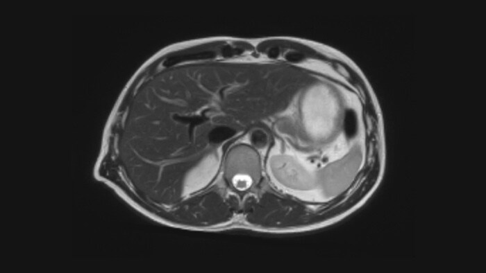 Affidabilità diagnostica