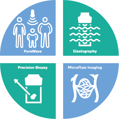 Infografica piccoli organi