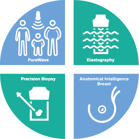 Infografica di piccoli organi e seno