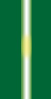 una linea bianca su sfondo verde
