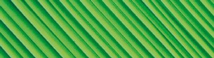 un primo piano di una superficie verde