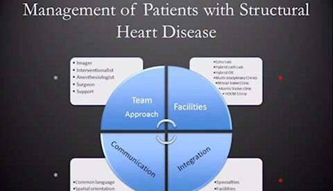 Impianto transcatetere di una valvola aortica in una sala operatoria ibrida utilizzando HeartNavigator