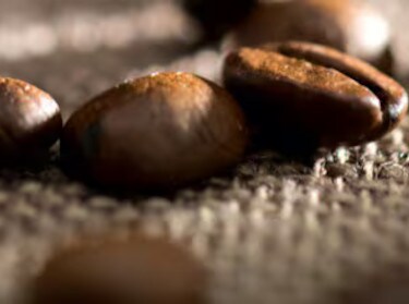 Chicchi di caffè Organic