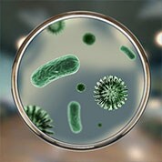 Allergia ai germi