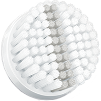 Exfoliation Brush