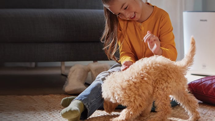 Come togliere i peli del cane dal divano