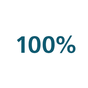 Icona 100%