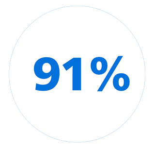 Icona 91%