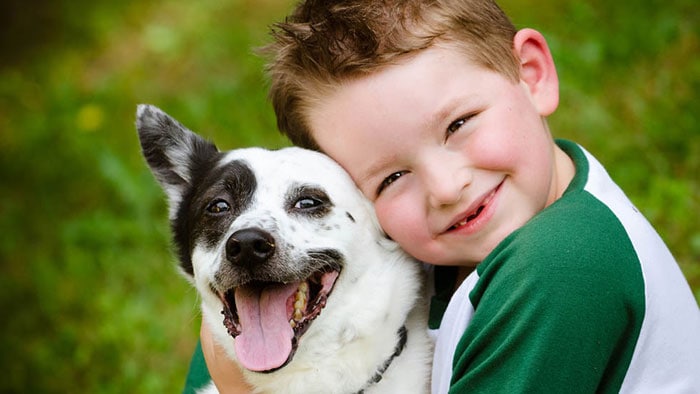 Cose da sapere prima di scegliere un animale domestico 