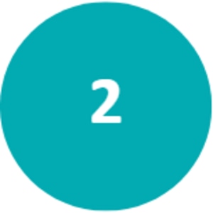 icon two
