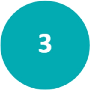 icon three
