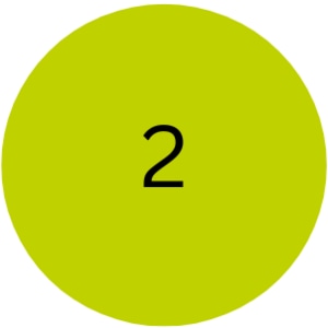 icon two