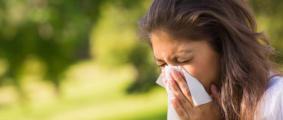 Allergeni a casa: tipi di polline e quando sono presenti