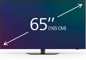 TV da 65 pollici